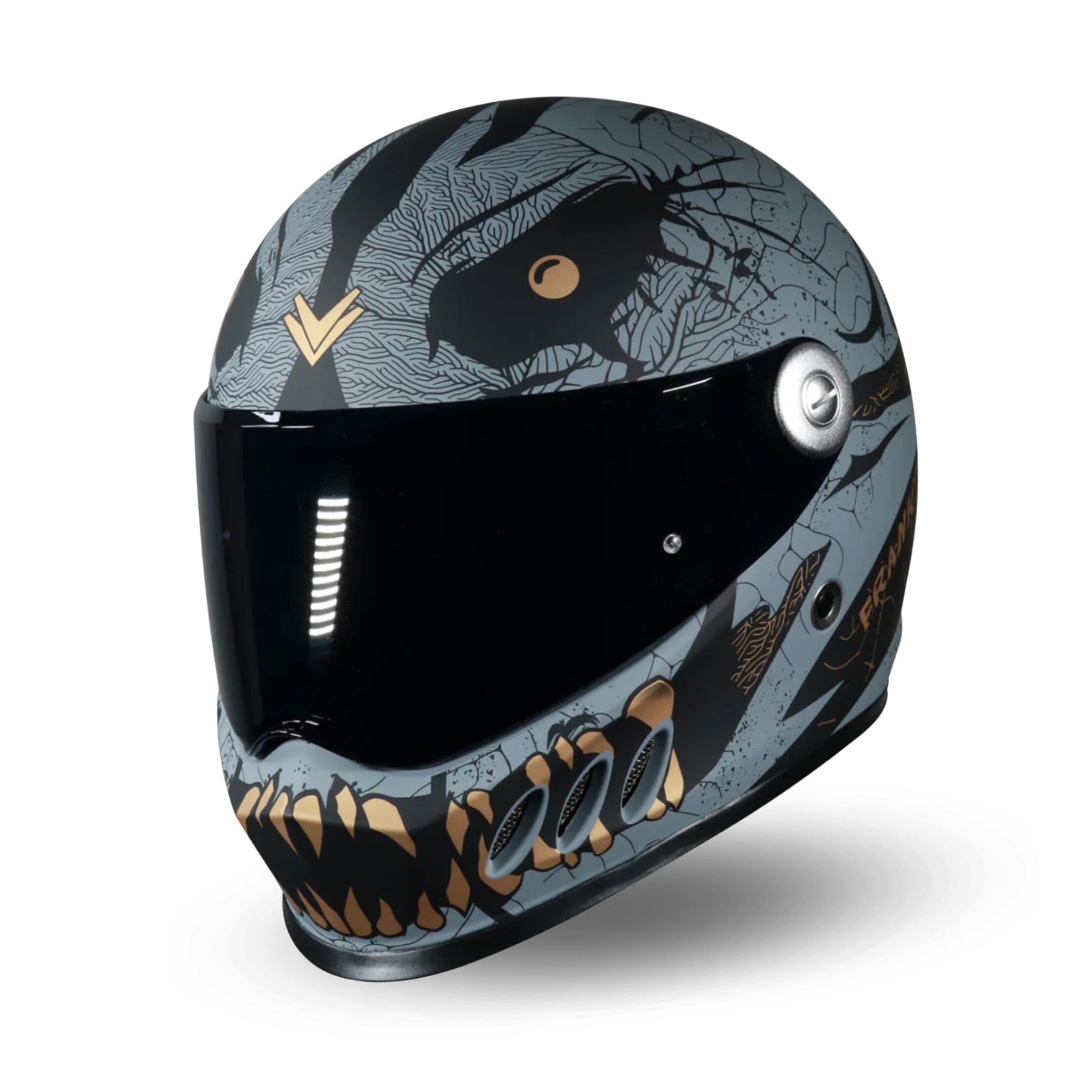 frank thomas motorcycle helmets Chin Mount for FT815 Franzan Design | Expert Creative
